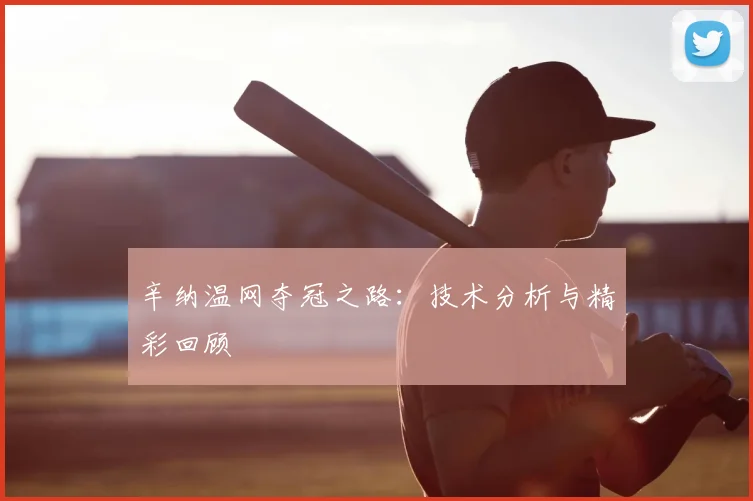 辛纳温网夺冠之路：技术分析与精彩回顾