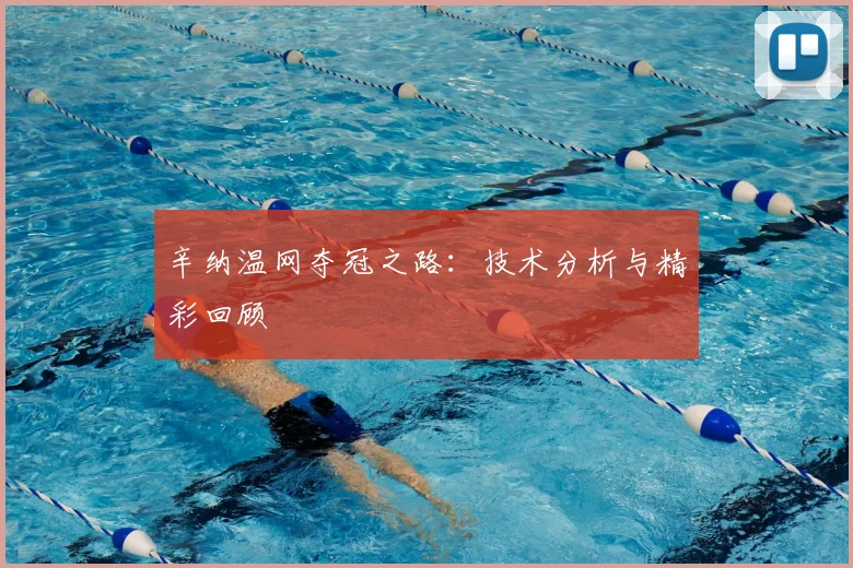 辛纳温网夺冠之路：技术分析与精彩回顾
